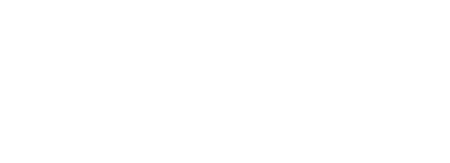 logo fesoford mtb